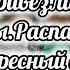 ВЛОГ РАСПАКОВКА ИЗ ЧИЖИКА АРТЁМ ПИШЕТ ПИСЬМО ДЕДУ МОРОЗУ БЛИНЧИКИ