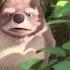 KOALA KID Small Bear Big Adventures FOX Home Entertainment