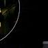 How To Get THE DARK PARADISE BADGE UNKNOWN TRAITOR In ACCURATE PIGGY RP THE RETURN Roblox