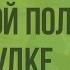 Пищеварение в ротовой полости и в желудке Видеоурок по биологии 8 класс