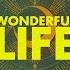 Imany Wonderful Life Stream Jockey Rework LYRICS VIDEO