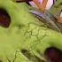 FNAF SB Animatronics Shattered Before Decommission