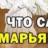 КАК ЖИЛА И УМЕРЛА МАРЬЯМ МАТЬ ПРОРОКА ИСЫ ИИСУСА ЧТО СЛУЧИЛОСЬ С ЕЕ ТЕЛОМ ПОСЛЕ СМЕРТИ