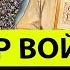 Этот ЭГРЕГОР меня ЗАПУГИВАЛ ВОЙНА и ВЕРА ведьмы Марии Тихой