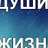 Путешествие души жизнь между жизнями По книге Майкла Ньютона