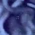 Cosmic Boys Infini