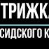Стрижка персидского кота