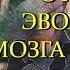 Отбор и эволюция мозга человека Савельев С В Центральный Дом Учёных РАН 27 03 2017