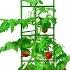 Review Gardener S Blue Ribbon 3 Pack Ultomato Tomato Plant Cage