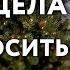 Как относиться к ПЦУ Что обязан делать муж Психовать или сдерживаться