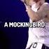 Eminem Mockingbird