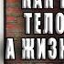 Радость Как наполнить тело энергией а жизнь счастьем Александр Лоуэн Аудиокнига