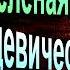 Зелёная причёска девическая грудь Сергей Есенин Русская Поэзия читает Павел Беседин