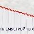 Открытый онлайн марафон по коррекции веса ПЛЕМЯСТРОЙНЫХ 3 поток 1 встреча