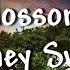 Blossoms Honey Sweet Lyrics