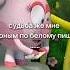 чёрным по белому пишет тг Цирк им Карлуши смешарики охлобыстин гойда мем мемы