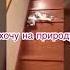 Я НЕ ХОЧУ НА РОБОТУ Я ХОЧУ НА ПРИРОДУ ПИВКА И ШАШЛЫЧКА Шашлындос