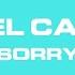 Joel Corry Sorry