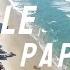 Dale Papi