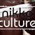 Nayio Bitz Nikko Culture Upside Down Original Mix Roundtripmusic