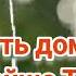Путь домой Анастейша Тиллман Глава 340 341 и 342 аудиокнига