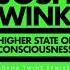 Josh Wink Higher State Of Consciousness Adana Twins Remix One Official Audio