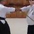 The Two Sword Forms Of Mitsugi Saotome Shihan