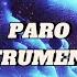 Paro By Nej Instrumental Trending Song Paro Instrumental Instumentalmusic