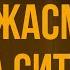 Podcast Ветка жасмина у дома Ситы 2013 Фильм онлайн киноподкаст смотреть обзор