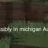 Possibly In Michigan Audio