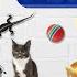 CAT Games Ultimate Cat TV Compilation Vol 124 8 HOURS