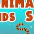 Sound Of Animals Animal Sounds Song LittleKidsTV