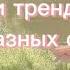 Танцуй эти тренды 2023 года на разных скоростях