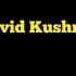 David Kushner Buried At Sea Karaoke Guitar Instrumental