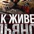 Как живёт Сульянов Компания в миллиард долларов Семья любовь свадьба