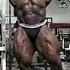 RONNIE COLEMAN BACK AND BICEPS BATTLE FOR THE OLYMPIA 2004