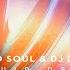 Liquid Soul DJ Dream Liquid Dream Sean Tyas Remix