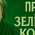Китайская притча Зеленый король Сулицера первая схема