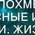 ИЗМЕНА ЖЕНЫ СНЯЛА МОЁ ПОХМЕЛЬЕ Интересные истории из жизни Жизненные аудио рассказы