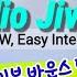 설명영상 Cardio Jive Line Dance 32C 4W Easy Intermediate