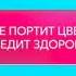 Заставка о вреде курения Домашний 2020 Осенние