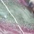 Epoxytumbler Epoxy Glitter Glittertumblers Glittertumbler Glittercup Epoxyresin Epoxypour