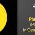 Paul Van Dyk Remix Of PLAY WITH THE VOICE By Joe T Vanelli Ft Csilla