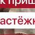 Как пришить застёжку к бюстгальтеру