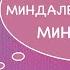 Амигдала Миндалевидное тело Строение мозга Фобии страхи Центр эмоций Социальная дистанция
