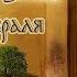 Евангелие дня Сретение Господа Нашего Иисуса Христа 15 февраля