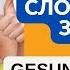 Немецкий на слух Немецкие слова на тему еда спорт здоровье и питание Essen Sport Gesund