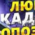 Вся РФ на УШАХ Любимец Кадырова ОПОЗОРИЛСЯ Алаудинов стал придворным шутом