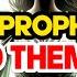 CHOSEN ONES U WERE THE LAST PERSON THEY EXPECTED TO FULFILL THE PROPHECY NOW THEY TRY TO STOP U