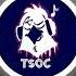 TSOC Plants Vs Zombies Brainiac Maniac TSOC Remix